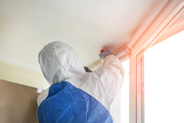 Professional Mold Inspection in Montgomery, PA